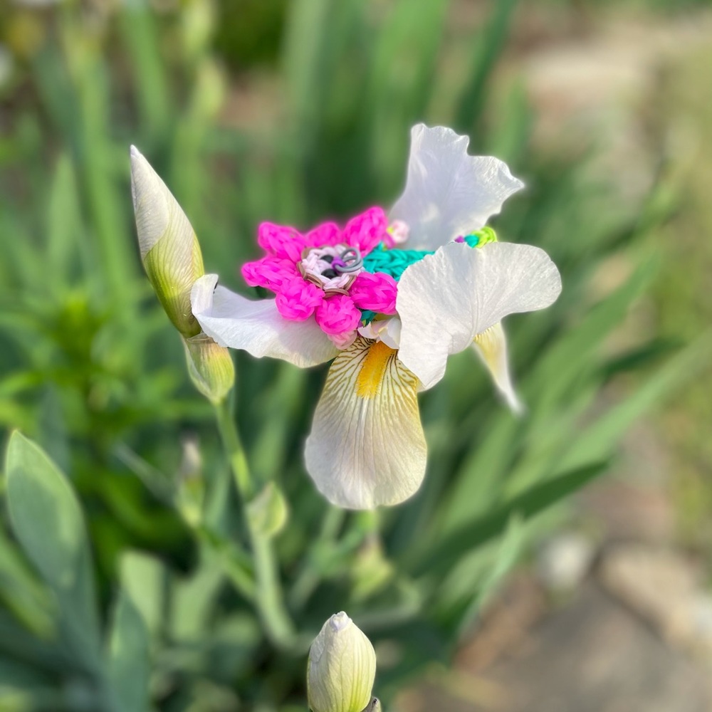 Rainbowloom pink spring flower baby